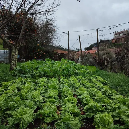 Casa Iris Cunqueiros Sobreira Formosa