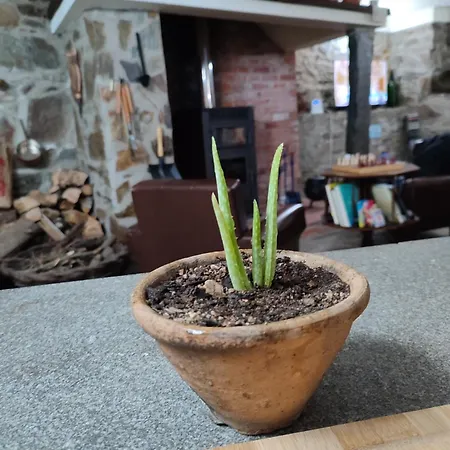 Casa Iris Cunqueiros Prázdninový dům