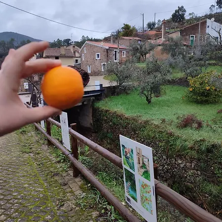 Casa Iris Cunqueiros *