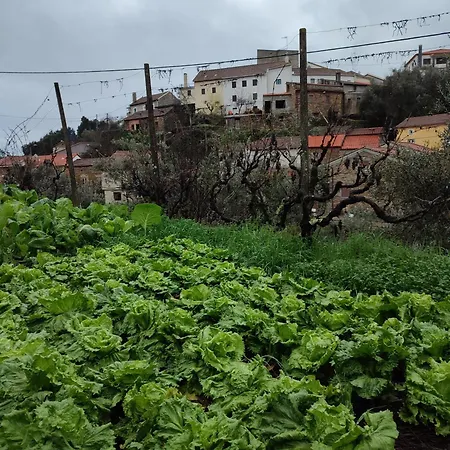 Casa Iris Cunqueiros * Sobreira Formosa