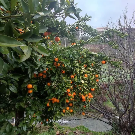 Casa Iris Cunqueiros Semesterbostad *