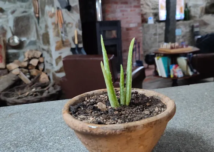 Casa Iris Cunqueiros Feriehus