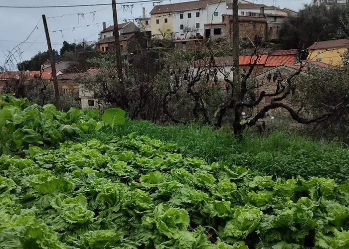 Casa Iris Cunqueiros * Sobreira Formosa